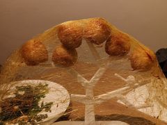 拔丝金枕榴莲-青梅酒肆PLUS(长白仙岛北路店)