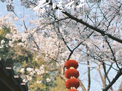 -杭州上天竺法喜讲寺