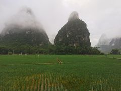 -明仕田园