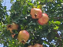 -时光漫步酒店(北京雍和宫南锣鼓巷店)