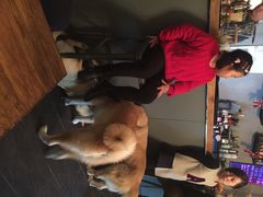 百好乐比萨-百好乐宠物友好餐厅(朝外大街店)