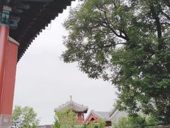 -西海子公园
