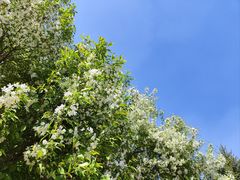 -长春公园(普阳街道)