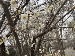 -坝河休闲公园