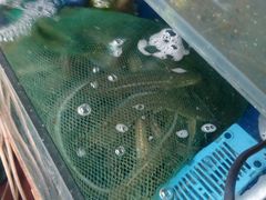-香满居张记小厨私房菜(青岛站店)
