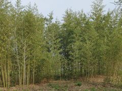 -嘉北郊野公园