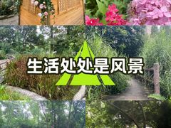 -成都市活水公园