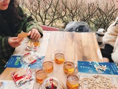 -香雪海