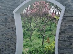 -南汇桃花村