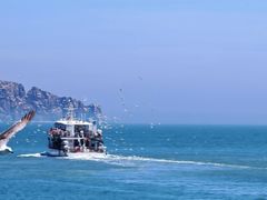 -海驴岛(荣成市)