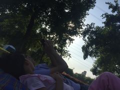 -九里河湿地公园