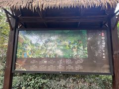 -天目湖涵田半山温泉