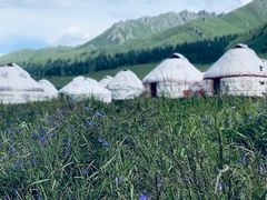 -新疆那拉提国家旅游度假区