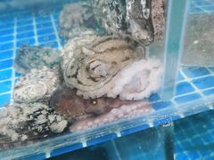 -宾朋海鲜特色美食餐厅·纯手工鲅鱼水饺(兴海路店)