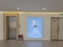 -金夫人婚纱摄影(总店)