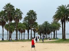 -柳湖沙月沙滩公园