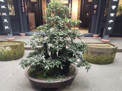 -成都杜甫草堂博物馆