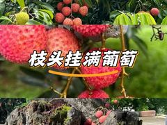 -中影星美国际影城(万家丽店)