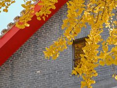 -四川大学(华西校区)