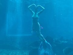 -海棠湾洲际-涛·海底餐厅·美人鱼·自助餐·海底隧道