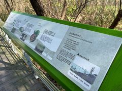 -西湖风景区-江洋畈生态公园