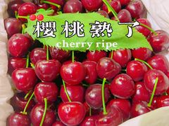 -Dole都乐水果直营