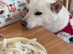 -柴の食堂·日式家庭料理·熊之肆(大学路店)