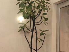 -小团圆糖水铺(襄阳南路店)