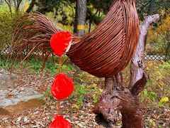 -北京西山国家森林公园