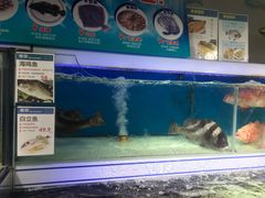 水产区-盒马鲜生(岭南新世界店)
