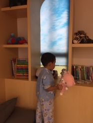 -上海交通大学医学院附属上海儿童医学中心(陆家嘴总院区)