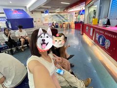 -正佳冰河湾真冰滑冰场