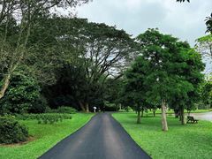 -中国科学院西双版纳热带植物园