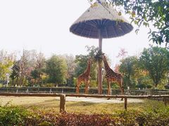 -南昌动物园