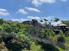 -上海野生动物园