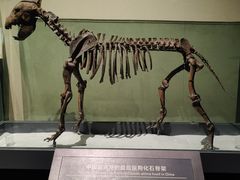 -大庆市博物馆