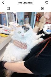 -HUII NAIL绘京美甲美睫会馆