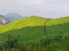-萍乡武功山风景名胜区