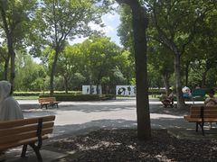 -南翔镇银翔湖公园