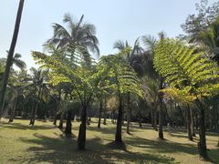 -中国科学院西双版纳热带植物园