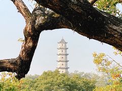 -江心屿景区