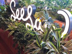 -Seesaw Coffee(朝阳大悦城店)