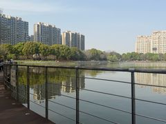 -南翔镇银翔湖公园