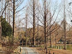 -浙江农林大学(东湖校区)