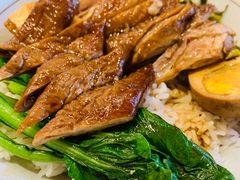 狮头鹅拼卤大肠-狮头牌卤味研究所·卤味饭(花城汇南区店)