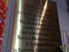 -通海俄式烧烤(下瓦房店)