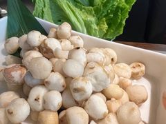 -同仁四季椰子鸡(无锡滨湖万象汇店)