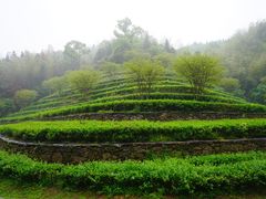 -常德桃花源景区