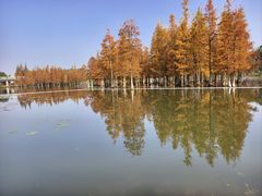 -白鹭湾湿地公园