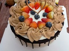 -糕小爱·动物奶油生日蛋糕定制(合肥总店)